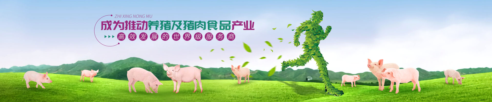 产品介绍